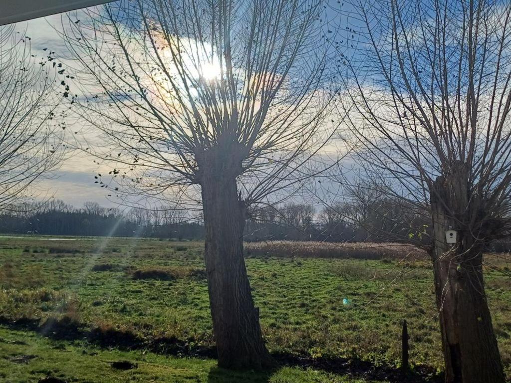 Residenz Haffblick, Wohnung 37 Boltenhagen  Dış mekan fotoğraf
